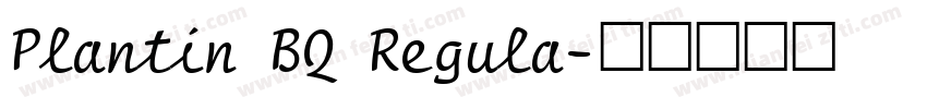 Plantin BQ Regula字体转换